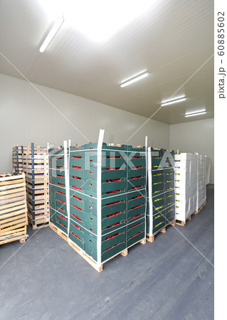 Boxes at Pallet Boxes at Pallet 60885602