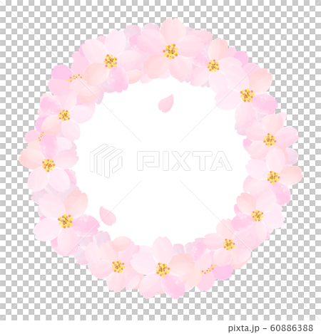 櫻花矢量櫻花 60886388