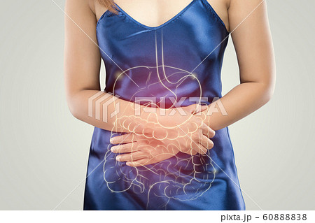 Internal organs 60888838