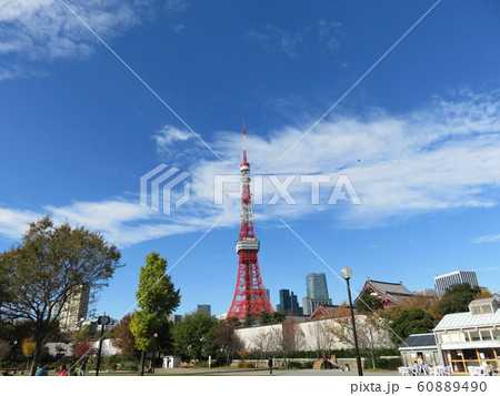 芝公園から見える東京タワー 60889490