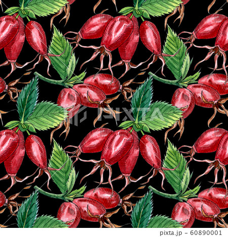 Floral seamless pattern with pink wild rose, rose hip, dog rose, green leaves and red berries, hand drawn watercolor pattern. Design for fabric, invitation, wedding or greeting cards Floral seamless pattern with pink wild rose, rose hip, dog rose, green leaves and red berries, hand drawn watercolor pattern. Design for fabric, invitation, wedding or greeting cards 60890001