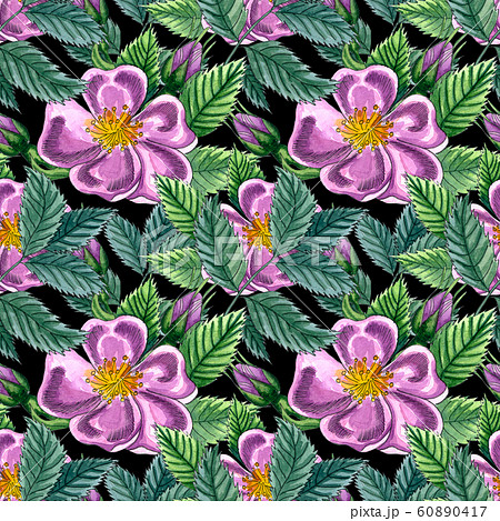 Floral seamless pattern with pink wild rose, rose hip, dog rose, green leaves, hand drawn watercolor pattern. Design for fabric, invitation, wedding or greeting cards Floral seamless pattern with pink wild rose, rose hip, dog rose, green leaves, hand drawn watercolor pattern. Design for fabric, invitation, wedding or greeting cards 60890417