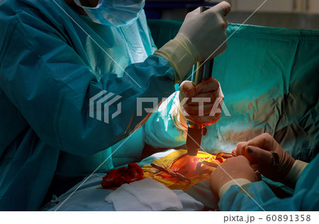 Using all equipment necessary to have a successful Using all equipment necessary to have a successful 60891358
