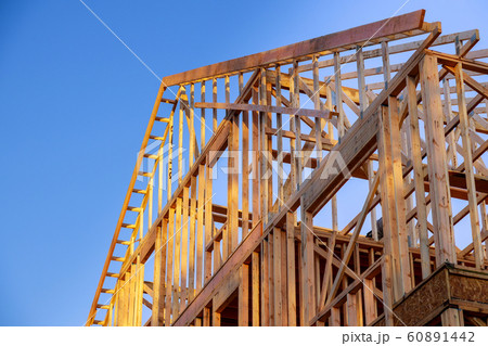 New construction home residential construction 60891442