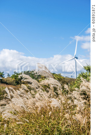 【秋】青山高原の風車 60891871