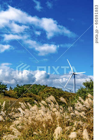 【秋】青山高原の風車 60891883