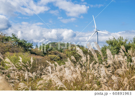 【秋】青山高原の風車 60891963
