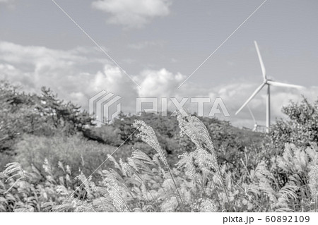 【セピア】青山高原の風車　秋 60892109