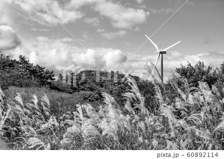 【セピア】青山高原の風車　秋 60892114
