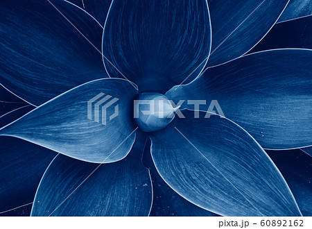 Floral ultra violet abstract natural floral 60892162