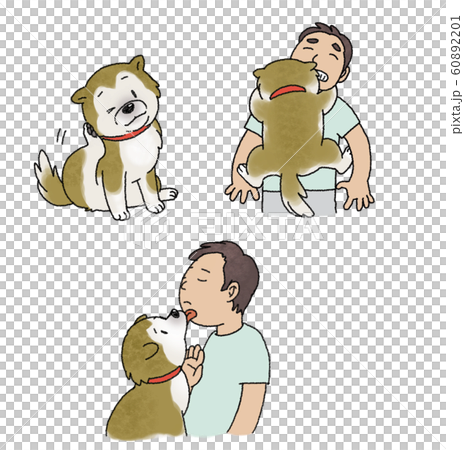 Shiba Inu 60892201