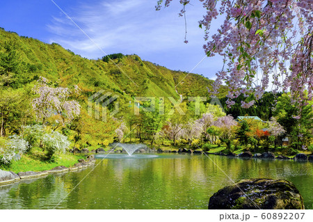 春の銭淵公園１ 60892207