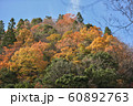 秋　山　風景　紅葉 60892763