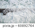 波 60892764