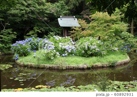 紫陽花寺 60892931