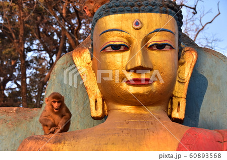 ネパールのカトマンズ　世界遺産の仏教寺院のスワヤンブナート　仏像の頭と仏像の肩に乗る可愛い子猿 60893568