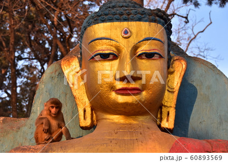 ネパールのカトマンズ　世界遺産の仏教寺院のスワヤンブナート　仏像の頭と仏像の肩に乗る可愛い子猿 60893569