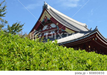浅草寺界隈 60893650