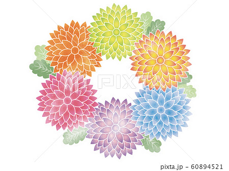 菊 菊 花 菊花紋 紋 フレーム 枠 飾り枠 囲み枠 満開 年賀 植物のイラスト素材
