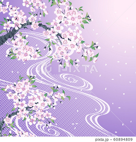 桜 流水 紫のイラスト素材