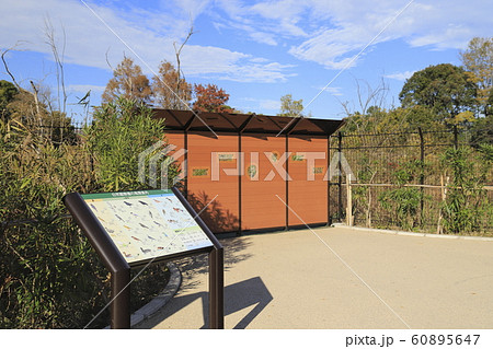 舎人公園（とねりこうえん）　バードサンクチュアリ　東京都足立区 60895647