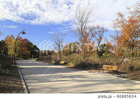 舎人公園（とねりこうえん）　バードサンクチュアリ　東京都足立区 60895654