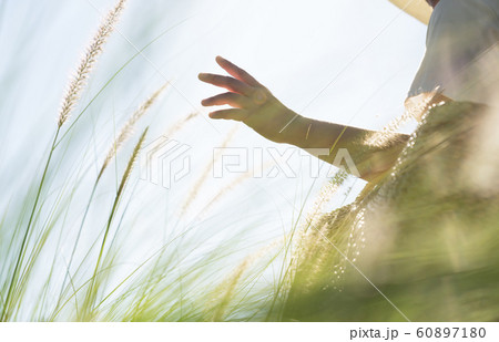 女性　ライフスタイル 60897180