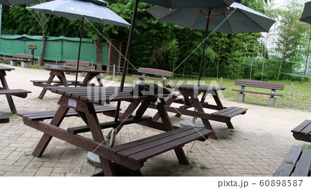 春 猫 陰 60898587