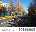 イチョウ並木を走る自転車1 60898905