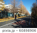 イチョウ並木を走る自転車2 60898906