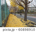 イチョウ並木を走る自転車3 60898910