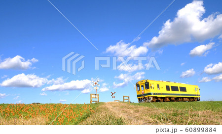 いすみ鉄道の紅葉 いすみ鉄道の紅葉 60899884