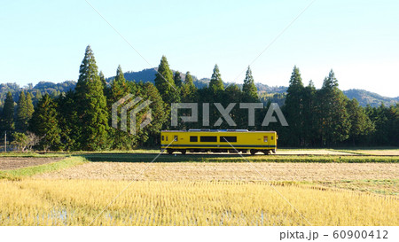 いすみ鉄道の紅葉 60900412