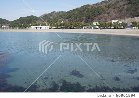 浅虫海水浴場 60901994