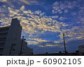 秋の空 60902105
