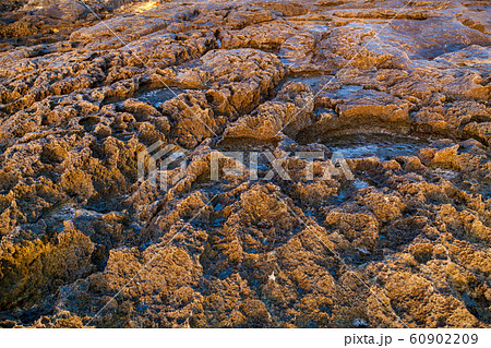 The stony coast of Gozo 60902209