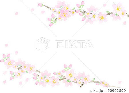 ポストカードサイズ 桜のフレーム 横 のイラスト素材 6090