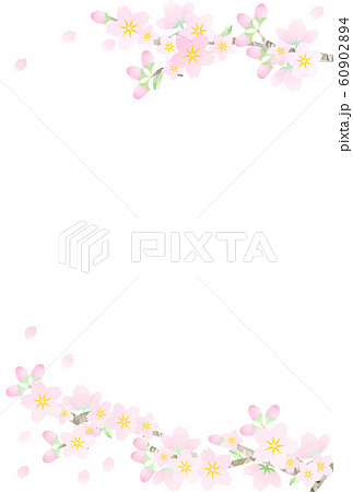 ポストカードサイズ 桜のフレーム 縦 のイラスト素材 [60902894] - PIXTA