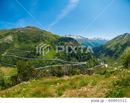 Summer landscape of Switzerland mountain nature Summer landscape of Switzerland mountain nature 60903511