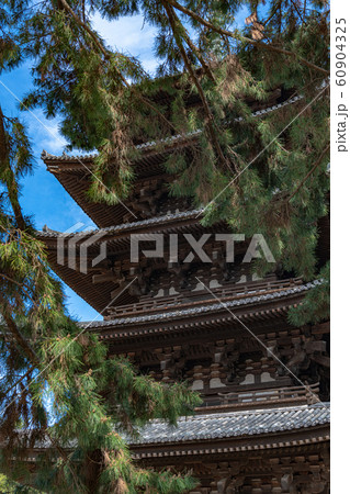奈良 興福寺 五重塔 奈良 興福寺 五重塔 60904325