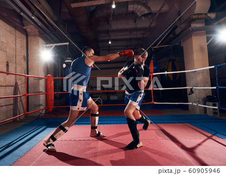 Boxers training kickboxing in the ring at the health club 60905946