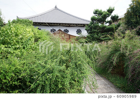 常林寺の萩の庭 60905989