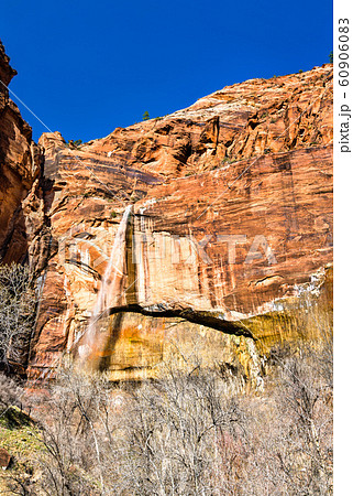 Weeping Rock Waterfall in Zion National Park 60906083