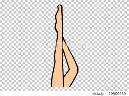 女性の足のイラスト｜２本 60906289