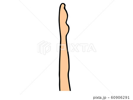 女性の足のイラスト｜１本 60906291