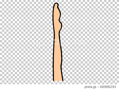 女性の足のイラスト｜１本 60906291