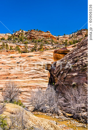 Rock formations at Zion National Park along Pine Creek Rock formations at Zion National Park along Pine Creek 60906336