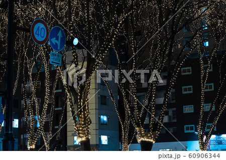 SENDAI光のページェント2019 宮城県仙台市 SENDAI光のページェント2019 宮城県仙台市 60906344