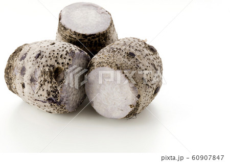 田芋 ターンム 田芋 ターンム 60907847