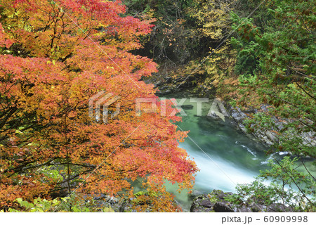 【長野県】阿寺渓谷の紅葉 60909998